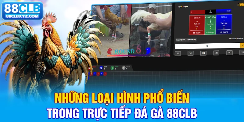 Những loại hình phổ biến trong trực tiếp đá gà 88CLB