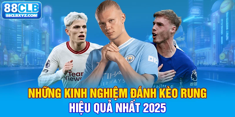 Những kinh nghiệm đánh kèo rung hiệu quả nhất 2025