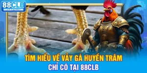 tìm hiểu về vảy gà huyền trâm chỉ có tại 88clb